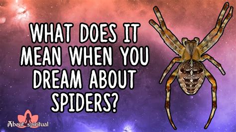 Decoding Spider Dreams: Unraveling the Symbolic Web