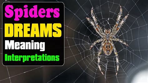 Decoding Subconscious Messages: Deciphering the Significance of Multi-Hued Arachnids