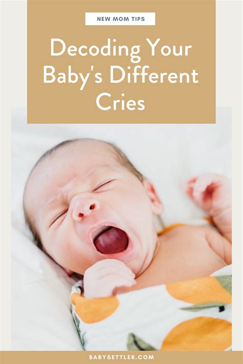 Decoding Techniques for Analyzing Cries in Newborn Dream Sequences