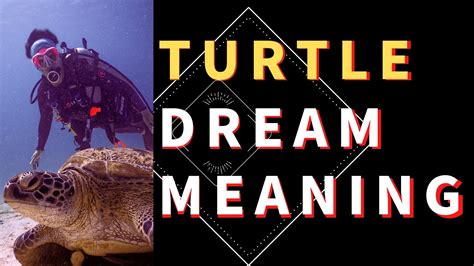 Decoding Turtle Dreams: Strategies for Interpreting and Applying the Messages