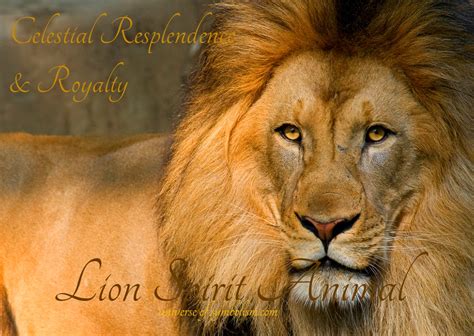 Decoding the Animal Kingdom: The Symbolic Meaning of Lions in Dreams