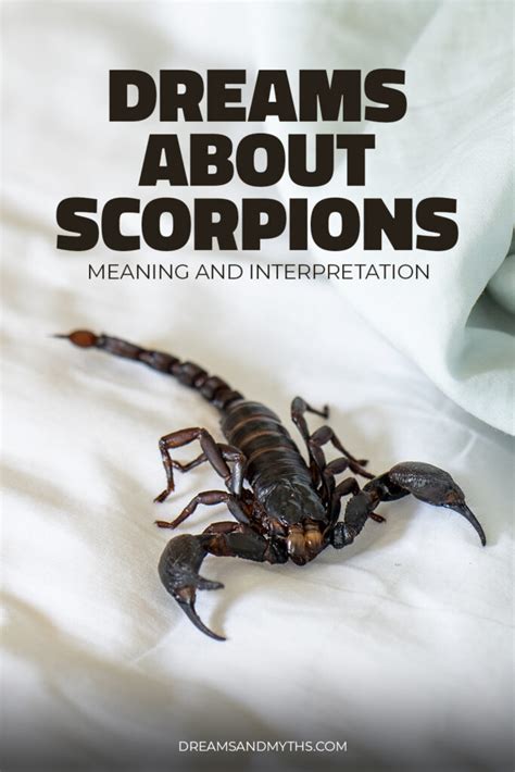 Decoding the Anxiety and Trepidation Associated with Dreams of Scorpions Pursuing You