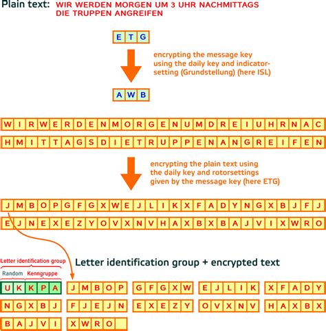 Decoding the Enigma: Deciphering the Importance of a Ladybug's Message