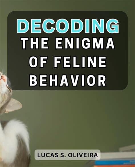 Decoding the Enigma: Feline Misadventures Inside the Spin Cycle