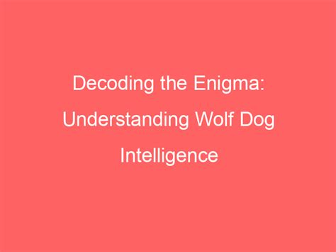 Decoding the Enigma: Interpreting Animal Reveries