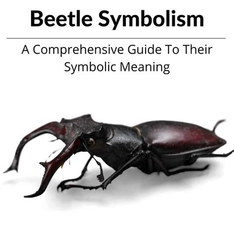 Decoding the Enigmatic Significance of Beetle Slaying Reveries