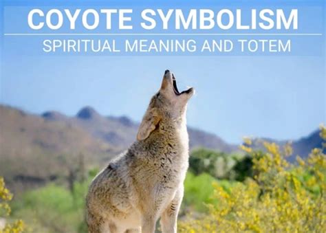 Decoding the Enigmatic Significance of Coyote Encounters in the Realm of Dreams