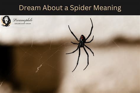 Decoding the Enigmatic Symbolism of Spider Leaping in One's Dreams