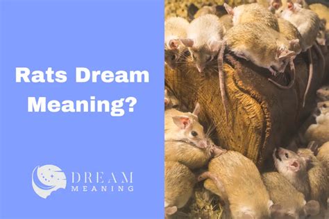 Decoding the Hidden Meanings: Analyzing Rat Dreams in Depth