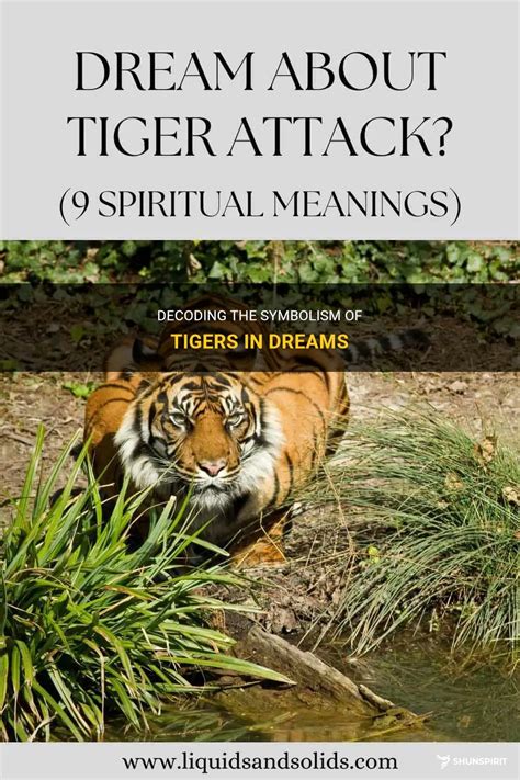 Decoding the Hidden Meanings: Understanding the Symbolism of Tigers in Dreams