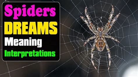 Decoding the Hidden Meanings of Money Spiders in Dreams