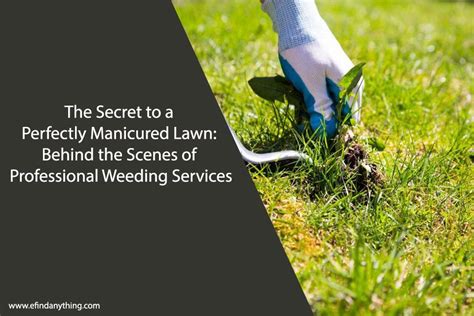 Decoding the Hidden Message behind Dreams of a Perfectly Manicured Lawn