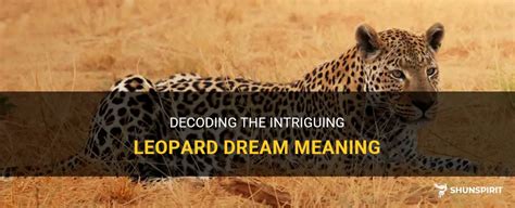 Decoding the Leopard's Behavior in the Dream