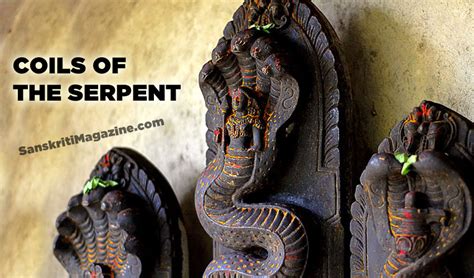 Decoding the Meaning Behind Dark Serpents in Hindu Traditions