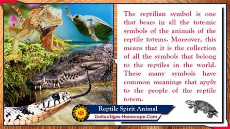 Decoding the Meaning and Significance of Your Vision of a Lifeless Reptile