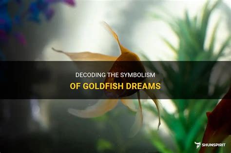 Decoding the Meaning behind the Hue of the Goldfish in Dreams