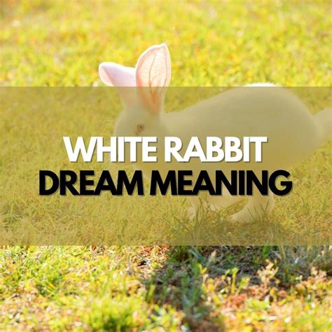 Decoding the Meaning of a Rabbit's Demise in Your Dreams