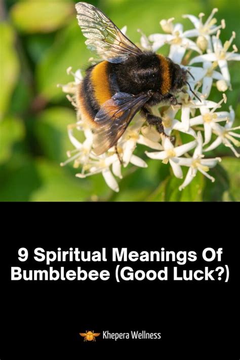 Decoding the Message in Your Dream: Deceased Bumblebees as Portents