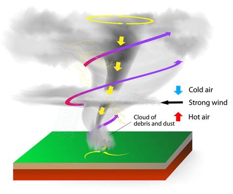 Decoding the Mysteries of Tornado Formation