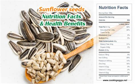 Decoding the Nutritional Value of Sunflower Seeds