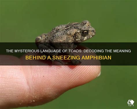 Decoding the Psychological Significance of Nourishing an Amphibian in One's Dreams