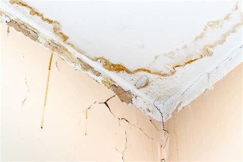 Decoding the Secret behind Water Seepage on the Ceiling: What Does it Signify?