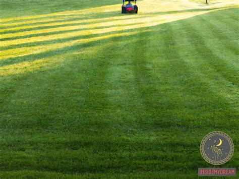 Decoding the Significance: Exploring the Meaning of Lawn Care in the Realm of Dreams