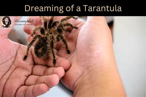 Decoding the Significance: Techniques and Suggestions for Deciphering Tarantula Dream Meanings