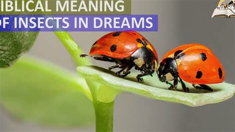 Decoding the Significance of Bugs in the Realm of Dreams