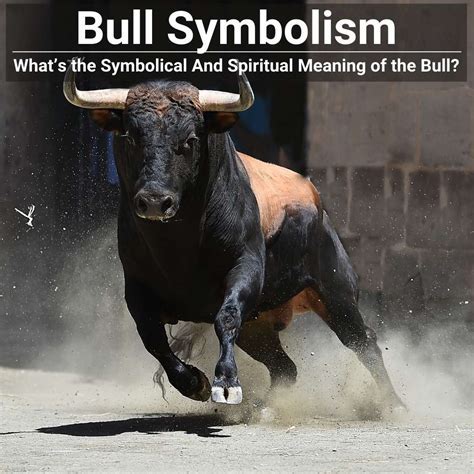 Decoding the Significance of Bulls Locked in Combat: Unraveling the Hidden Meanings