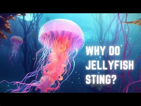 Decoding the Significance of Jellyfish Stings in Lucid Reveries