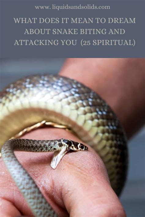 Decoding the Significance of Snake Attacks: Revealing the Mysteries of Dream Interpretation
