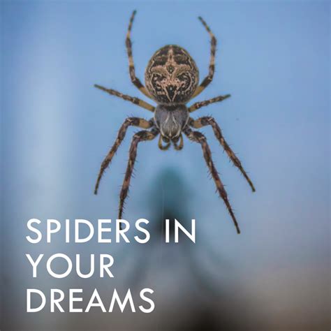 Decoding the Significance of Spider Dreams: Untangling the Hidden Meanings