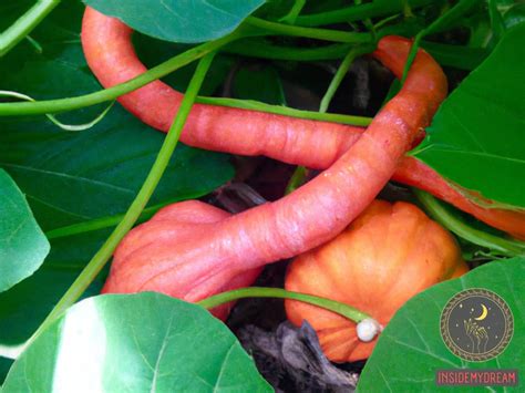 Decoding the Significance of Yam Tubers in the Realm of Dream Psychology