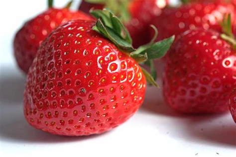 Decoding the Symbolic Meanings Encapsulated in Decayed Strawberry Reveries