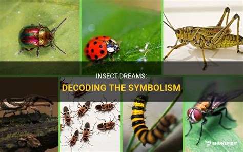 Decoding the Symbolic Significance of Beetle Dreams