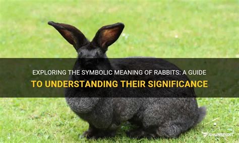 Decoding the Symbolic Significance of Bunnies in Reveries