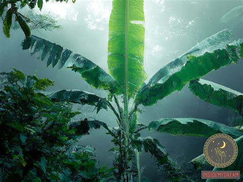 Decoding the Symbolic Significance of Enigmatic Banana Trees in Your Dreamscapes