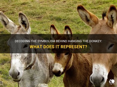 Decoding the Symbolism: Donkeys as Messengers of the Subconscious