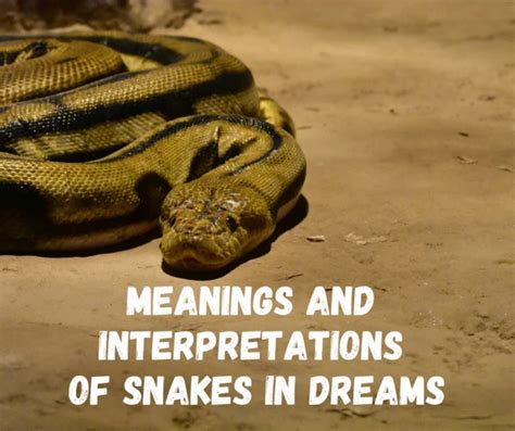 Decoding the Symbolism: Exploring Common Interpretations of Snake Dreams