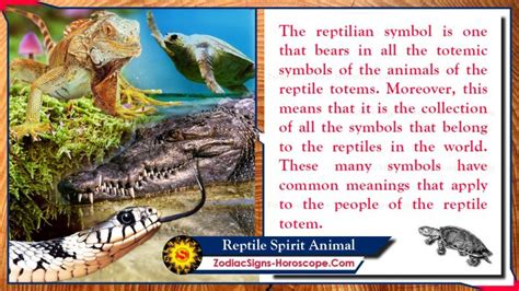 Decoding the Symbolism: Exploring the Significance behind Visions of the Reptile Being