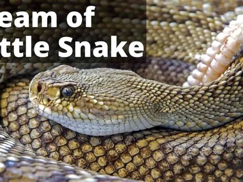 Decoding the Symbolism: Unraveling the Significance Behind the Sinuous Hissing Reptile