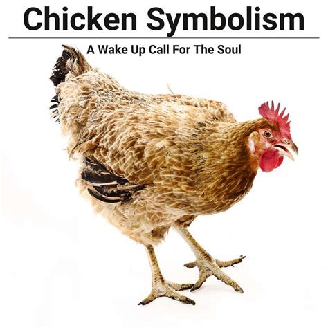 Decoding the Symbolism: Unraveling the Significance of Consuming Uncooked Poultry within the Boundaries of Our Dreams