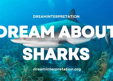 Decoding the Symbolism Behind Dreams of Shark Bites