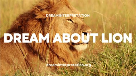 Decoding the Symbolism Behind Lion Attacks in Dreams