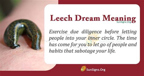 Decoding the Symbolism and Meaning Behind Leech Dreams