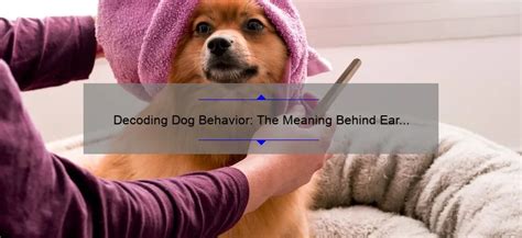 Decoding the Symbolism behind Images of Nourishing Canines: A Step-by-Step Manual for Unraveling Their Significance