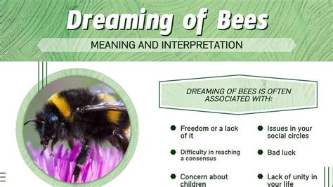 Decoding the Symbolism of Bee Aggressions in Dreams