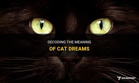 Decoding the Symbolism of Cat Dreams