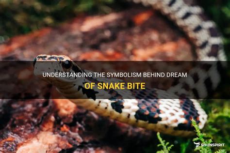 Decoding the Symbolism of Dream About Snake Bite